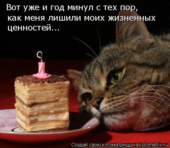 Вот уже и год минул с тех пор, как меня лишили моих жизненных ценностей...... Котоматрица: Вот уже и год минул с тех пор, как меня лишили моих жизненных ценностей...