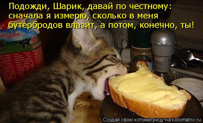 Подожди, Шарик, давай по честному: сначала я измерю, сколько в меня бутербродов влазит, а потом, кон... Котоматрица: Подожди, Шарик, давай по честному: сначала я измерю, сколько в меня бутербродов влазит, а потом, конечно, ты!
