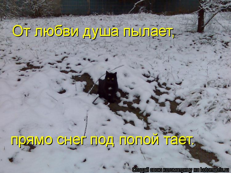 Душ в попе 