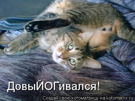 ДовыЙОГивался!... Котоматрица: ДовыЙОГивался!