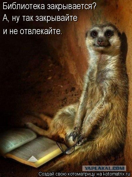 Библиотека закрывается? А, ну так закрывайте и не отвлекайте.... Котоматрица: Библиотека закрывается? А, ну так закрывайте и не отвлекайте.