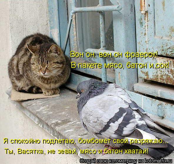 Я спокойно подлетаю, бомбомёт свой разряжаю... Ты, Васятка, не зевай, мясо и батон хватай! В пакете м... Котоматрица: Я спокойно подлетаю, бомбомёт свой разряжаю... Ты, Васятка, не зевай, мясо и батон хватай! В пакете мясо, батон и сок! Вон он, вон он фраерок!