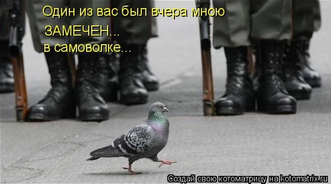 Один из вас был вчера мною ЗАМЕЧЕН... в самоволке...... Котоматрица: Один из вас был вчера мною ЗАМЕЧЕН... в самоволке...