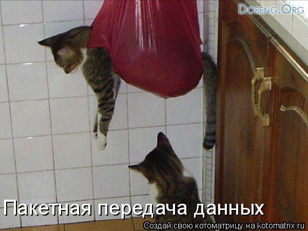Котоматрица: Пакетная передача данных