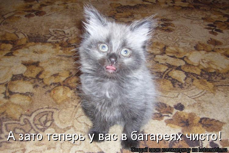А зато теперь у вас в батареях чисто!... Котоматрица: А зато теперь у вас в батареях чисто!