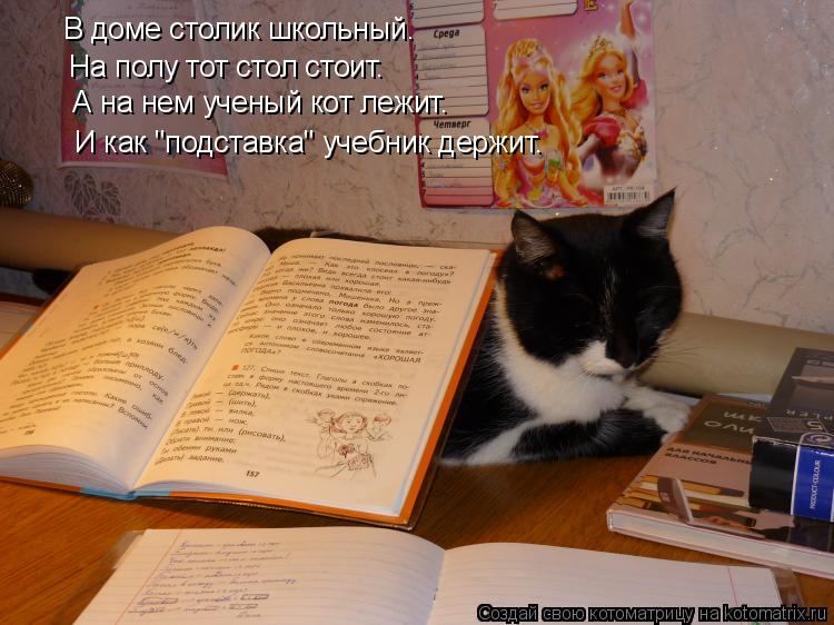 Котоматрица: В доме столик школьный.  На полу тот стол стоит.  А на нем ученый кот лежит.  И как "подставка" учебник держит.