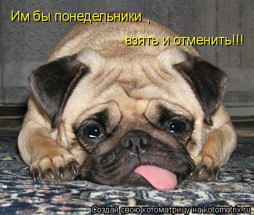 Котоматрица: Им бы понедельники , взять и отменить!!!