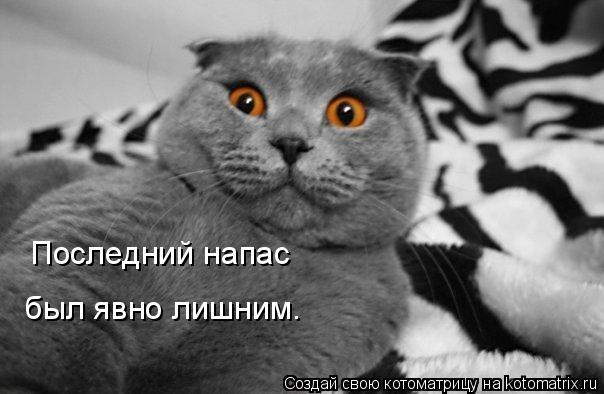 Котоматрица: Последний напас был явно лишним.