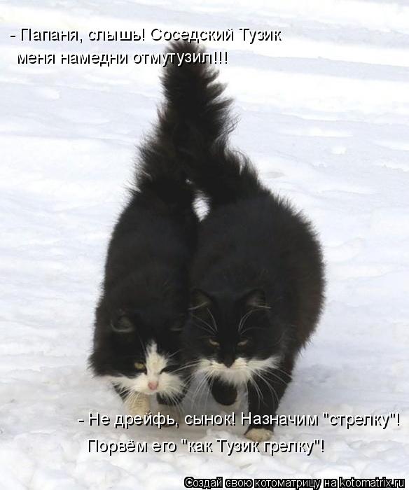 - Папаня, слышь! Соседский Тузик меня намедни отмутузил!!! - Не дрейфь, сынок! Назначим "стрелку"! По... Котоматрица: - Папаня, слышь! Соседский Тузик меня намедни отмутузил!!! - Не дрейфь, сынок! Назначим "стрелку"! Порвём его "как Тузик грелку"!