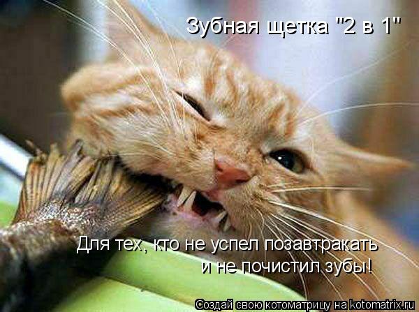 Котоматрица: Зубная щетка "2 в 1" Для тех, кто не успел позавтракать и не почистил зубы!