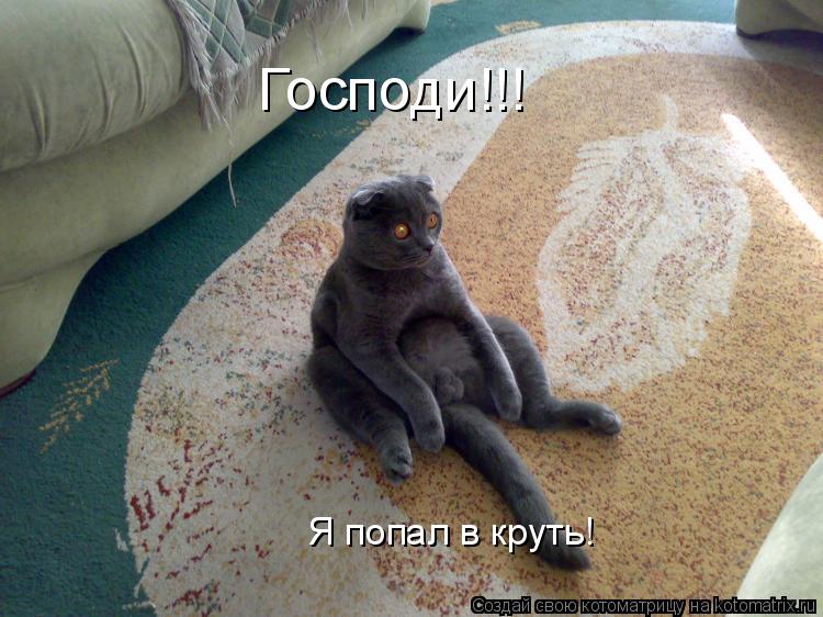 Котоматрица: Господи!!! Я попал в круть!