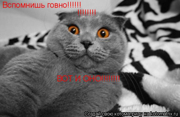 Котоматрица: Вспомнишь говно!!!!!! ВОТ И ОНО!!!!!!!! !!!!!!!!