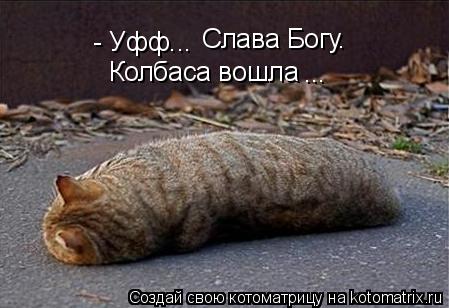 - Уфф... Слава Богу. Колбаса вошла ...... Котоматрица: - Уфф... Слава Богу. Колбаса вошла ...