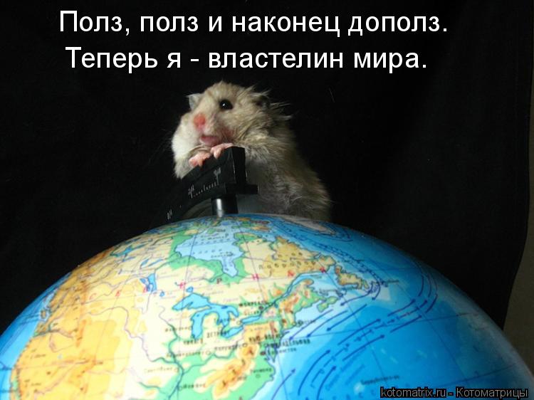 Котоматрица: Полз, полз и наконец дополз. Теперь я - властелин мира.