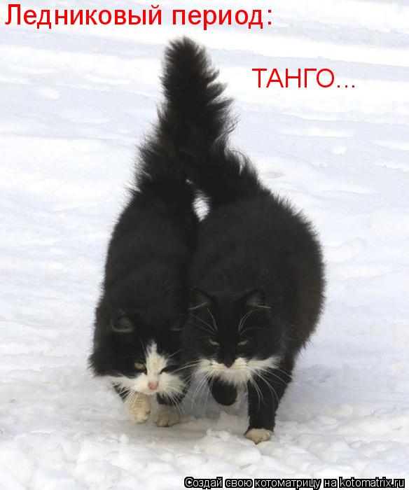 Ледниковый период: ТАНГО...... Котоматрица: Ледниковый период: ТАНГО...