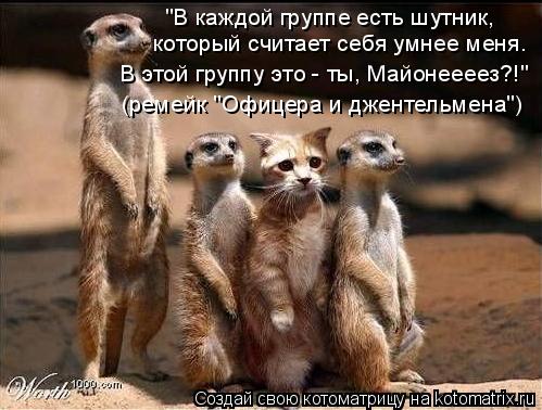 Котоматрица: "В каждой группе есть шутник,  который считает себя умнее меня. В этой группу это - ты, Майонеееез?!" (ремейк "Офицера и джентельмена")