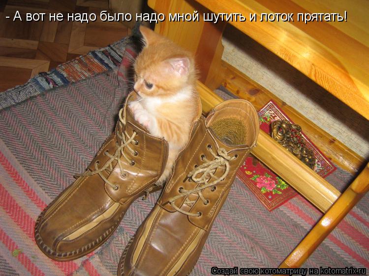 Котоматрица: - А вот не надо было надо мной шутить и лоток прятать!