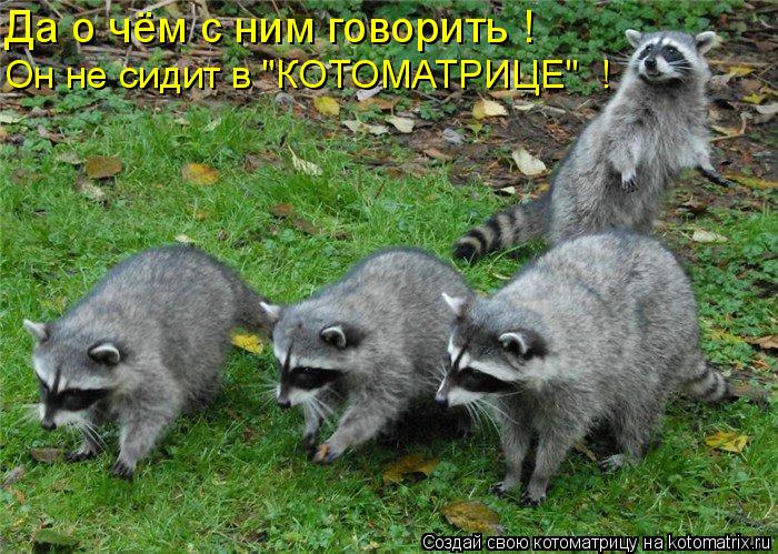 Котоматрица: Да о чём с ним говорить ! Он не сидит в "КОТОМАТРИЦЕ"  !