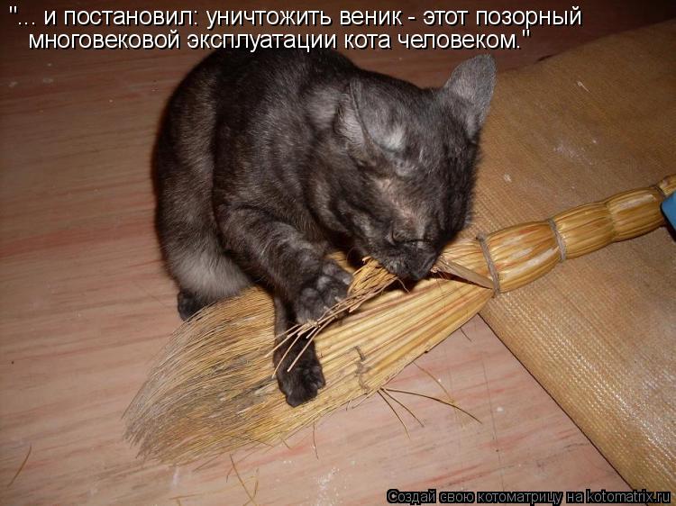 Котоматрица: "... и постановил: уничтожить веник - этот позорный многовековой эксплуатации кота человеком."