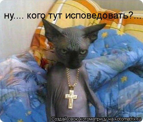 Котоматрица: ну.... кого тут исповедовать?...