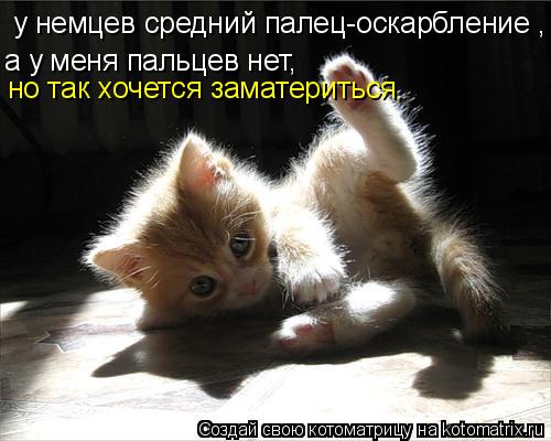 Котоматрица: у немцев средний палец-оскaрбление , а у меня пальцев нет, но так хочется заматериться.