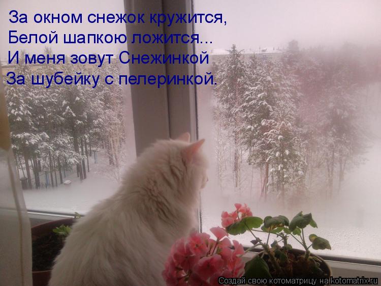 За окном снежок кружится, Белой шапкою ложится... И меня зовут Снежинкой За шубейку с пелеринкой.... Котоматрица: За окном снежок кружится, Белой шапкою ложится... И меня зовут Снежинкой За шубейку с пелеринкой.