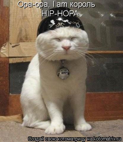 Котоматрица: Opa-opa, I am король  HIP-HOPA