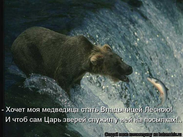 - Хочет моя медведица стать Владычицей Лесною! И чтоб сам Царь зверей служил у ней на посылках!..... Котоматрица: - Хочет моя медведица стать Владычицей Лесною! И чтоб сам Царь зверей служил у ней на посылках!..