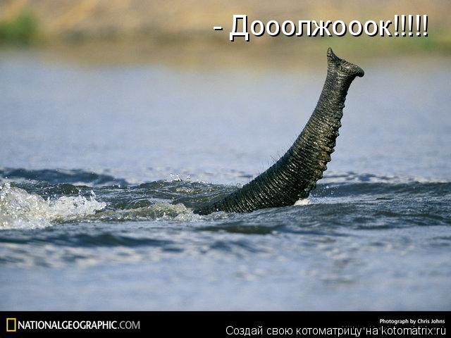 - Дооолжооок!!!!!... Котоматрица: - Дооолжооок!!!!!