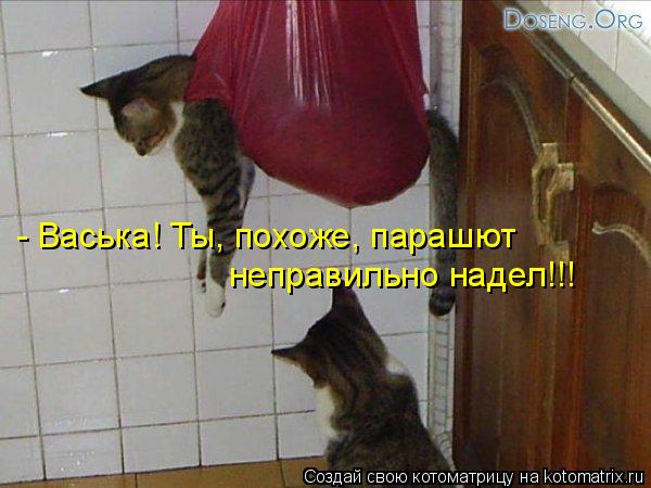 - Васька! Ты, похоже, парашют неправильно надел!!!... Котоматрица: - Васька! Ты, похоже, парашют неправильно надел!!!