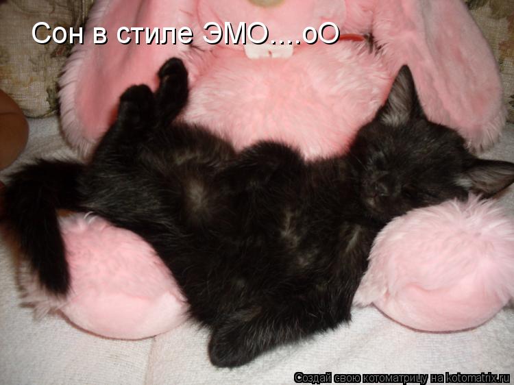 Котоматрица: Сон в стиле ЭМО....оО
