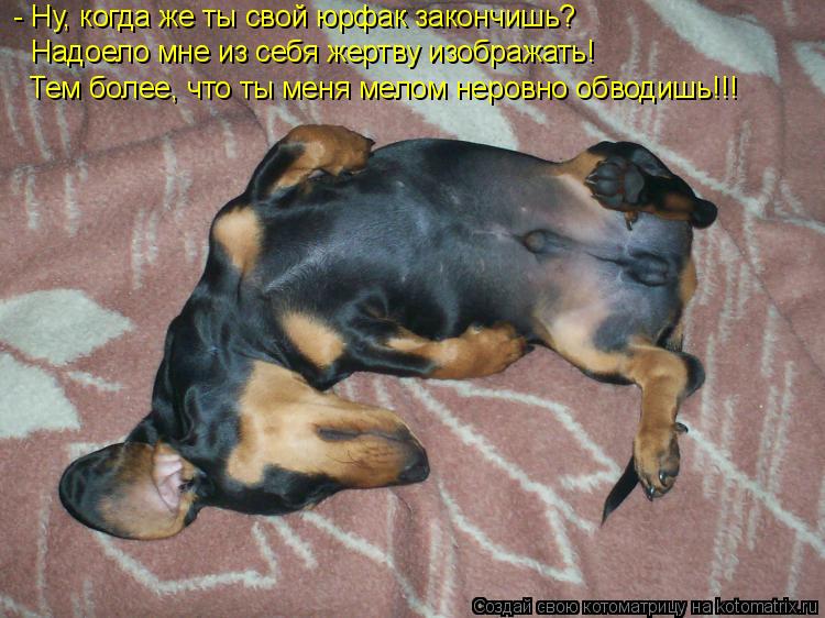 - Ну, когда же ты свой юрфак закончишь? Надоело мне из себя жертву изображать! Тем более, что ты меня... Котоматрица: - Ну, когда же ты свой юрфак закончишь? Надоело мне из себя жертву изображать! Тем более, что ты меня мелом неровно обводишь!!!