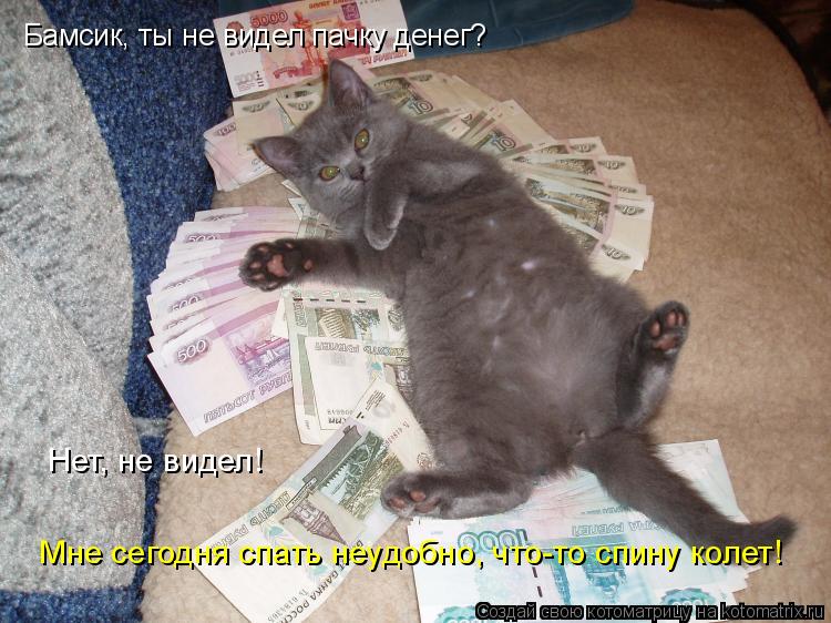 Котоматрица: Бамсик, ты не видел пачку денег? Нет, не видел! Мне сегодня спать неудобно, что-то спину колет!