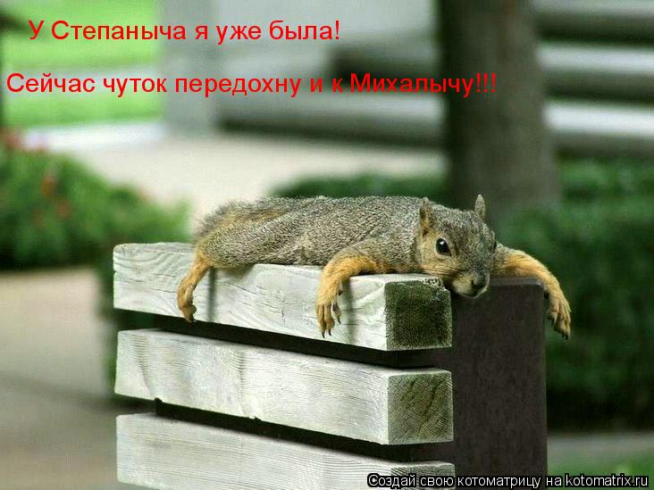 Котоматрица: У Степаныча я уже была! Сейчас чуток передохну и к Михалычу!!!