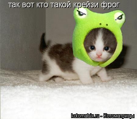 Котоматрица: так вот кто такой крейзи фрог