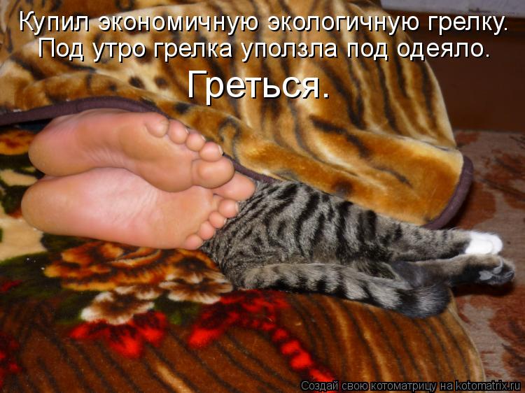 Купил экономичную экологичную грелку. Под утро грелка уползла под одеяло. Греться.... Котоматрица: Купил экономичную экологичную грелку. Под утро грелка уползла под одеяло. Греться.
