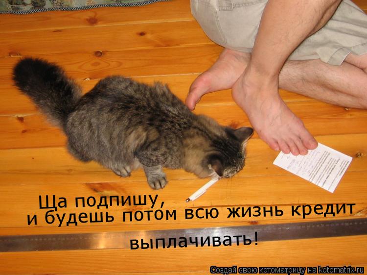 Котоматрица: Ща подпишу, выплачивать! и будешь потом всю жизнь кредит