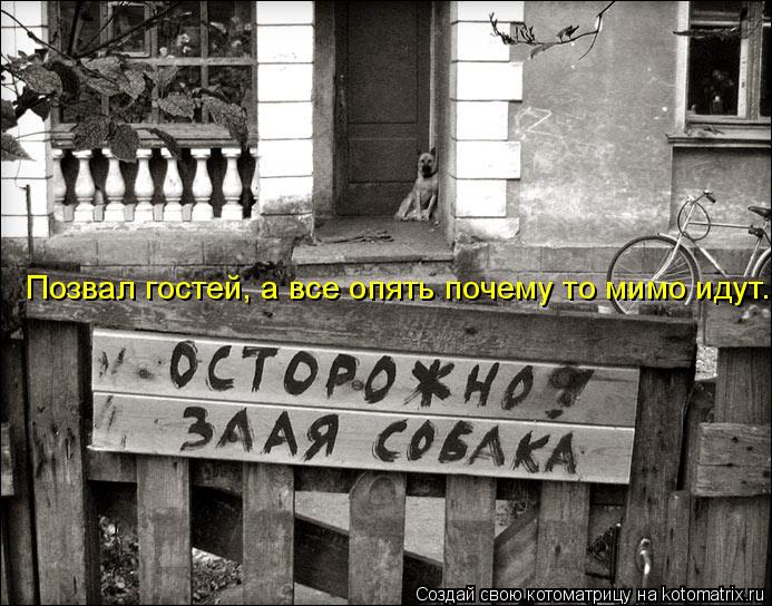 Позвал гостей, а все опять почему то мимо идут.... Котоматрица: Позвал гостей, а все опять почему то мимо идут.