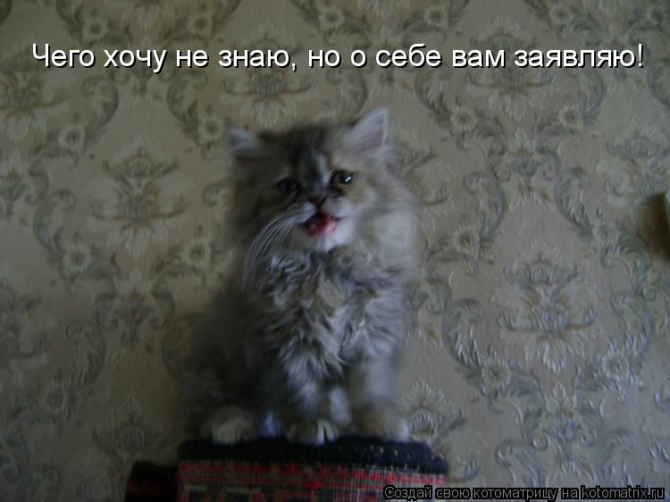 Котоматрица: Чего хочу не знаю, но о себе вам заявляю!