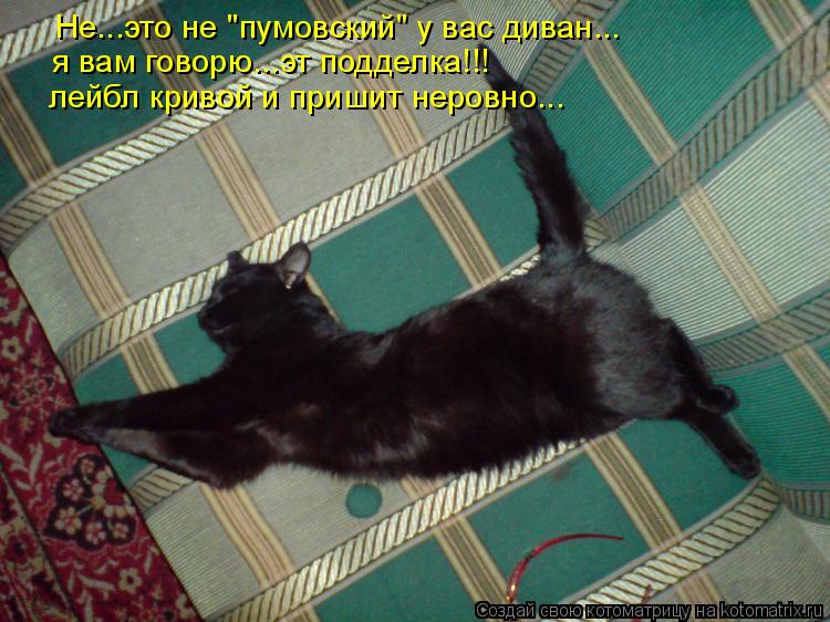 Не...это не "пумовский" у вас диван... я вам говорю...эт подделка!!! лейбл кривой и пришит неровно...... Котоматрица: Не...это не "пумовский" у вас диван... я вам говорю...эт подделка!!! лейбл кривой и пришит неровно...