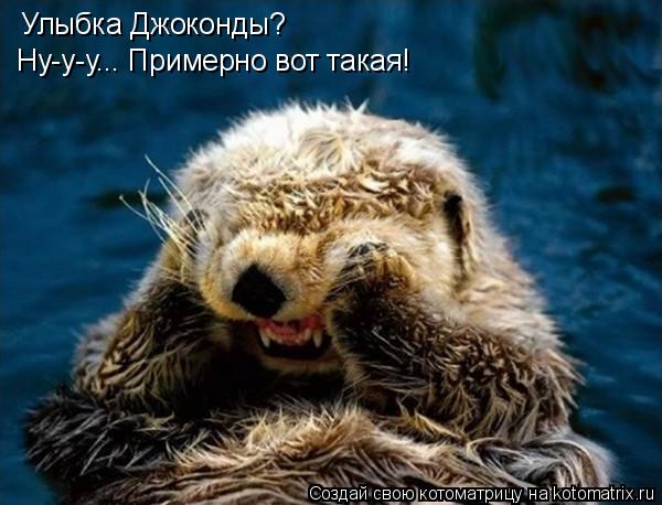 Улыбка Джоконды? Ну-у-у... Примерно вот такая!... Котоматрица: Улыбка Джоконды? Ну-у-у... Примерно вот такая!