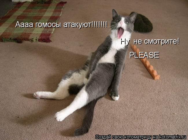 Котоматрица: Аааа гомосы атакуют!!!!!!!  Ну  не смотрите! PLEASE