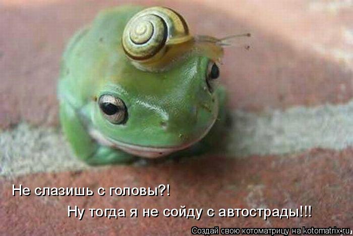 Котоматрица: Не слазишь с головы?!  Ну тогда я не сойду с автострады!!!