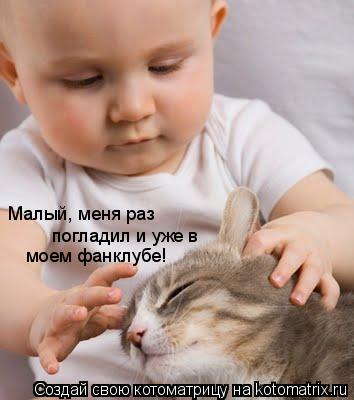 Котоматрица: Малый, меня раз  погладил и уже в  моем фанклубе!