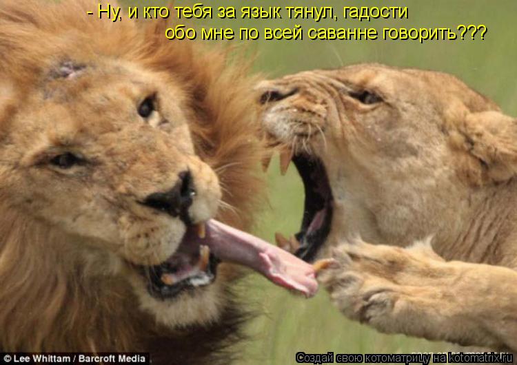 - Ну, и кто тебя за язык тянул, гадости обо мне по всей саванне говорить???... Котоматрица: - Ну, и кто тебя за язык тянул, гадости обо мне по всей саванне говорить???