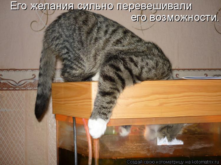 Его желания сильно перевешивали его возможности.... Котоматрица: Его желания сильно перевешивали его возможности.