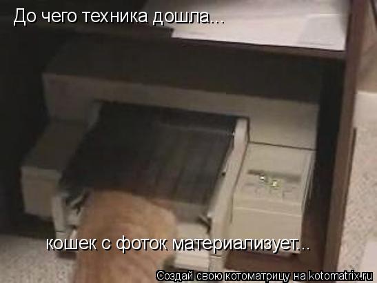 Котоматрица: До чего техника дошла... кошек с фоток материализует...