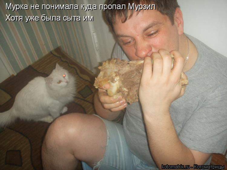 Котоматрица: Мурка не понимала куда пропал Мурзил Хотя уже была сыта им