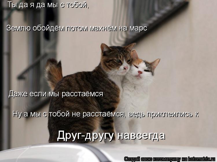 Котоматрица: Ты да я да мы с тобой, Землю обойдём потом махнём на марс Даже если мы расстаёмся Ну а мы с тобой не расстаёмся, ведь приклеились к Друг-другу 