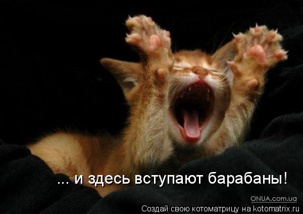 ... и здесь вступают барабаны!... Котоматрица: ... и здесь вступают барабаны!